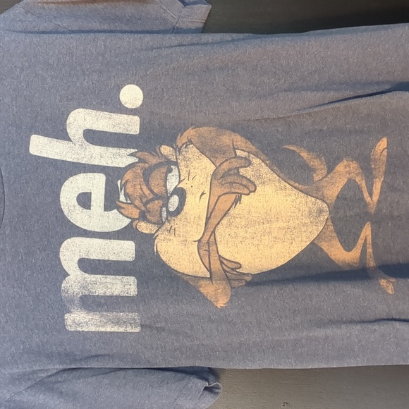 Warner Bros. Other - Looney Tunes Taz "meh." T-shirt Men's Size M